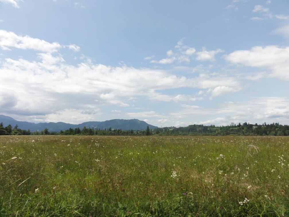 DSC05691